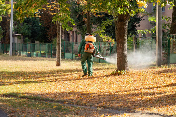 Best Insect Control  in Palmer Lake, CO